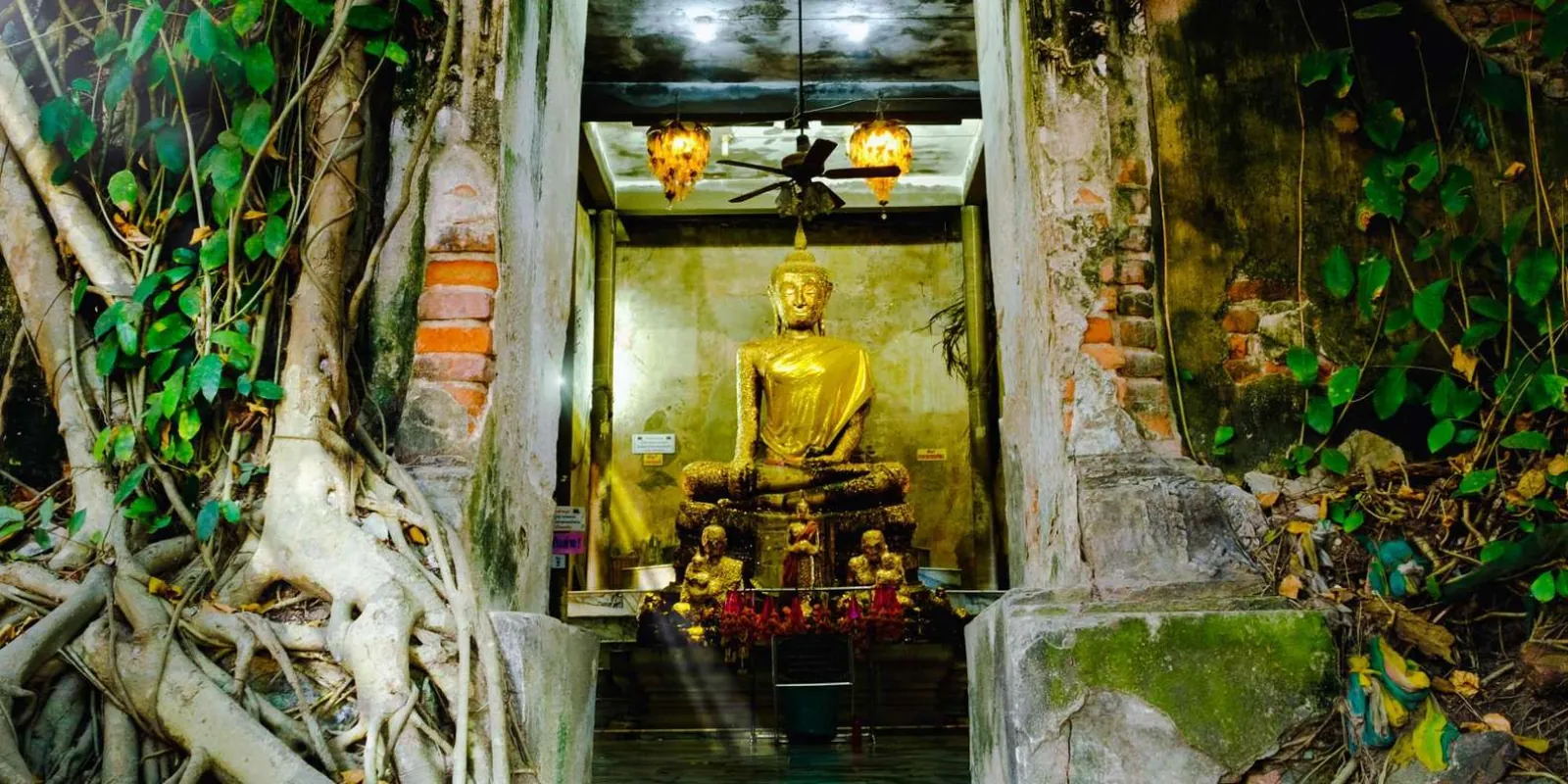 Shrine inside the tree-covered Wat Bang Kung